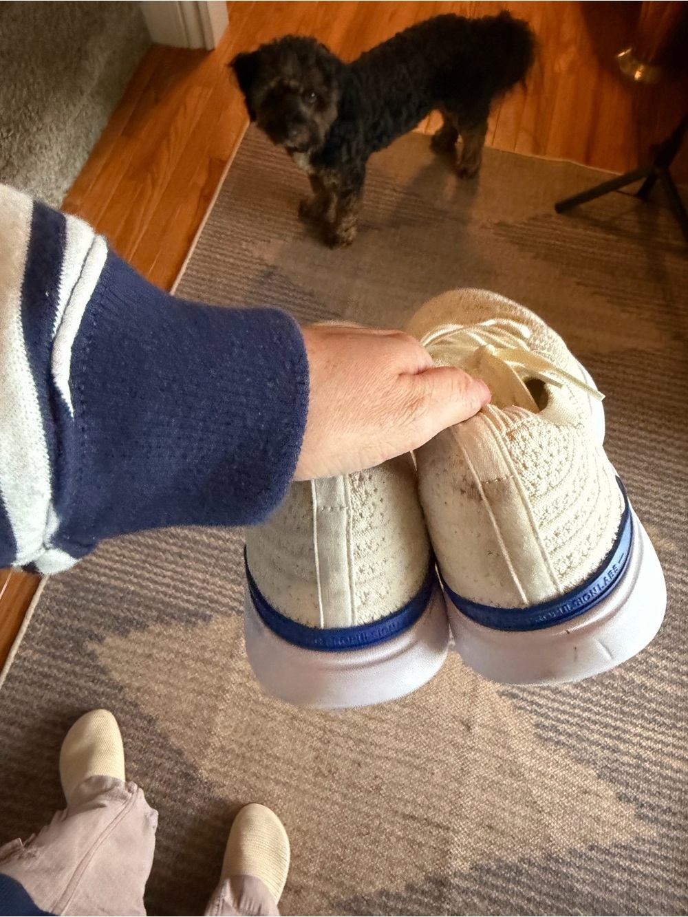 APL TechLoom Sneakers White Blue Trim Women’s Size 8 - Picture 7 of 9